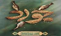 شهادت مظلومانه حضرت امام جواد(ع) تسلیت باد.